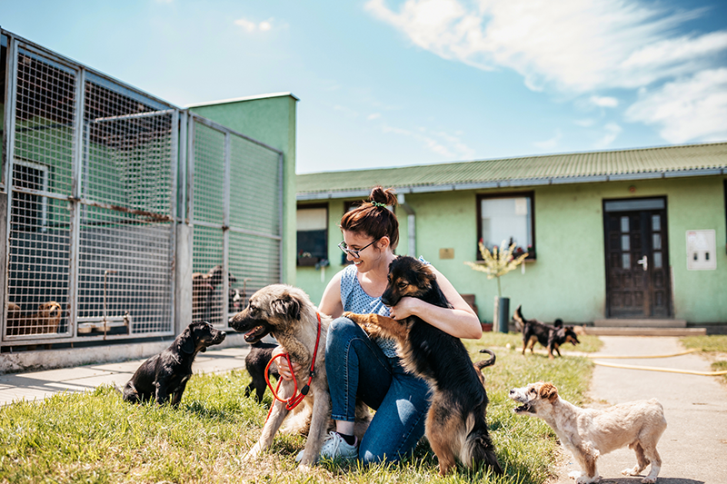 Faire garder ses animaux pendant les vacances