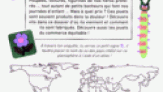 Cahier d'Enquête d'Artisans du Monde : Jouons plus juste !    