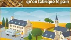 C'est à partir de blé tendre qu'on fabrique le pain