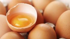 Prévenir et connaître les infections alimentaires