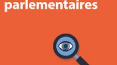 Petit aperçu des commissions parlementaires