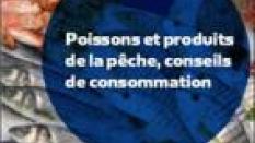 Poisson et produits de la pêche, conseils de consommation
