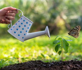 Jardiner tout en respectant la biodiversité : mode d’emploi