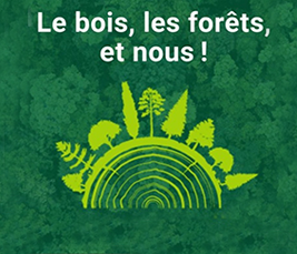 "Le bois, les forêts, et nous !" avec France Bois Forêt