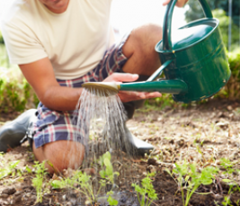 L'eau du robinet au jardin