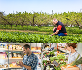 Colloque 2018 "Le commerce équitable origine France : un atout pour le développement économique local, environnemental et solidaire ?"