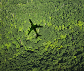 17 compagnies aériennes accusées de greenwashing