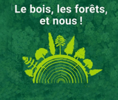 &quot;Le bois, les forêts, et nous !&quot; avec France Bois Forêt