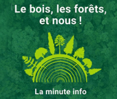 &quot;Le bois, les forets, et nous ! La minute info&quot; : une collection de 10 podcasts