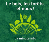 &quot;Le bois, les forets, et nous !&quot; : la minute info de l&#039;INC avec France Bois Forêt