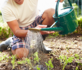 L'eau du robinet au jardin