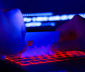 Que faire en cas de phishing ou d&#039;hameçonnage ?