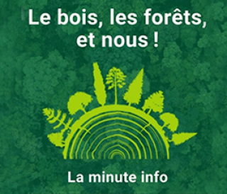 "Le bois, les forêts, et nous ! La minute info" : une collection de 10 podcasts