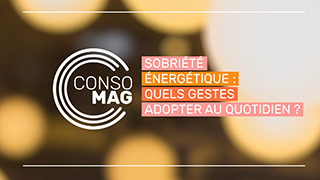 Sobriété énergétique : quels gestes adopter au quotidien ? avec la CLCV