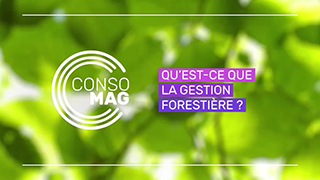 Qu'est-ce que la gestion forestière ? avec France Bois Forêt