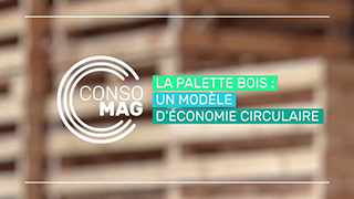 La palette bois : un modèle d'économie circulaire avec France bois forêt