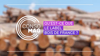 Qu'est-ce-que le label BOIS DE FRANCE ? avec France bois forêt