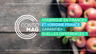 Quelles sont les garanties proposées par les mentions 