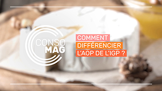 Comment différencier l'AOP de l'IGP ? avec l'Indecosa-CGT