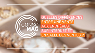 Quelles différences entre une vente aux enchères sur Internet et en salle des ventes ? avec l'ALLDC