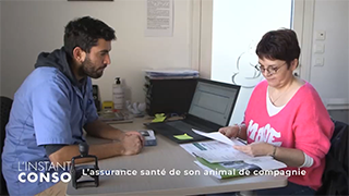 L’assurance santé de son animal de compagnie