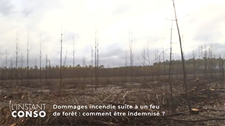 Dommages incendie suite à un feu de forêt : comment être indemnisé ?