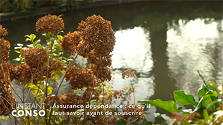 Assurance dépendance : ce qu’il faut savoir avant de souscrire