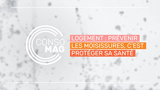 Logement : prévenir les moisissures, c'est protéger sa santé ! avec la CGL