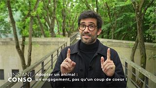 Adopter un animal : un engagement, pas un coup de cœur !