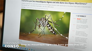 Stop au moustique-tigre : les bons gestes chez soi !