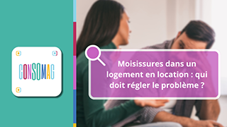 Moisissures dans un logement en location : qui doit régler le problème ? avec la CGL