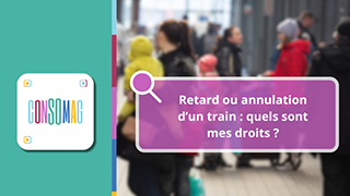 Retard ou annulation d’un train : quels sont mes droits ? avec la Fnaut